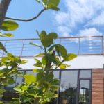 Fast Installation Light Steel Prefab Office House Buit with CE Standard Wooden Bungalows