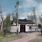 Modern Design Traditional Home Built with Chinese Style Light Steel Prefab House