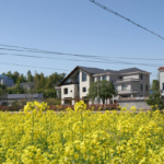 Prefab Light Steel House Built with Au/USA/CE Standard Fast Installation Villa Eco-Friendly