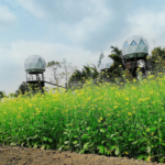 Prefabricated Hotel Dome House Built Light Steel Structure with Au/USA/CE Standard