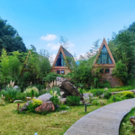 Prefabricated House Luxury Hotel Designs Triangle Light Frame Steel a Frame House