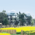 Prefabricated Houses with Light Steel Frame Hotel Resort Garden Geodesic Glamping Dome Tent