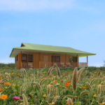 Prefabricated Wooden Bungalow House Built with USA Standard Light Steel Structure